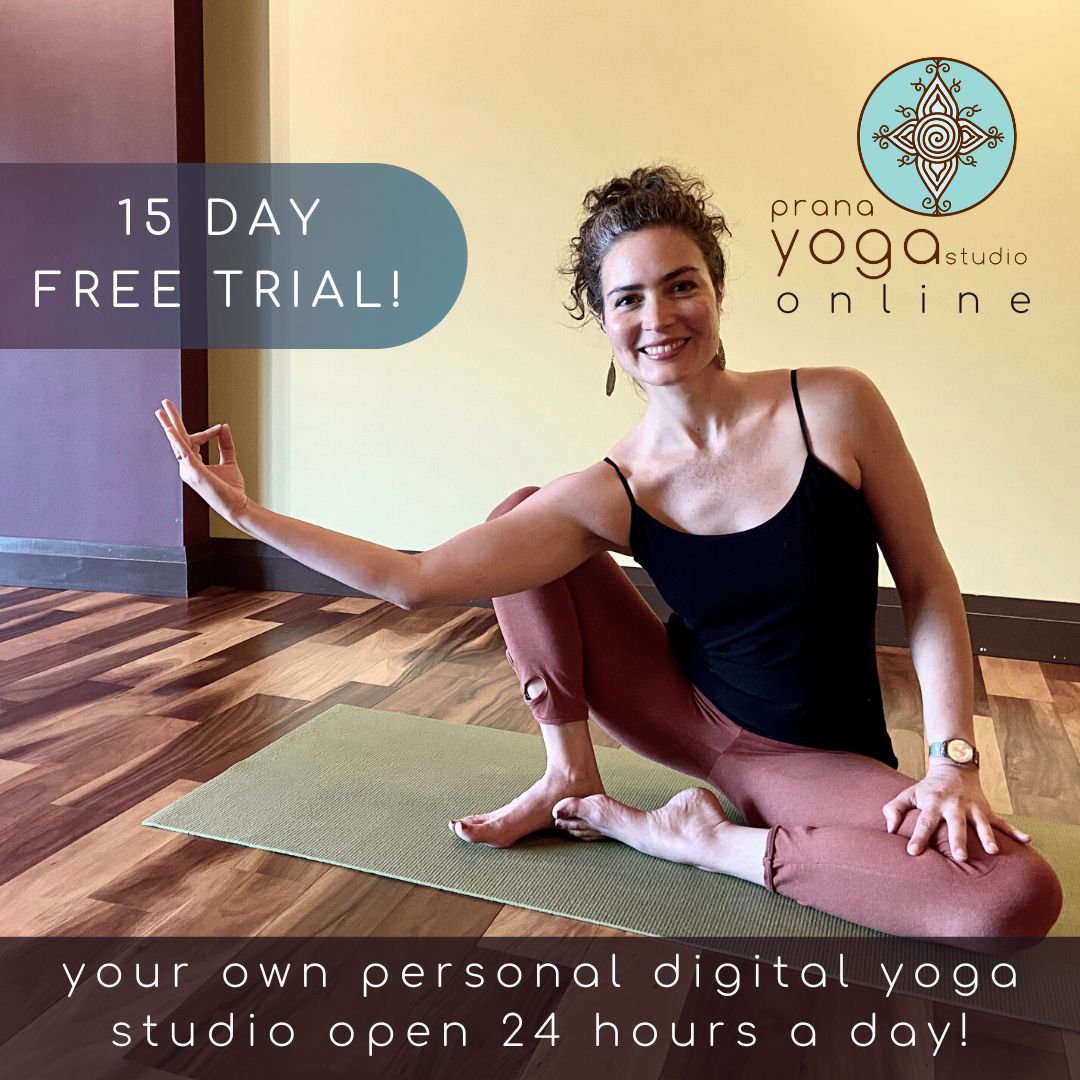 Online Yoga Classes For Beginners, 14 Day Free Trial