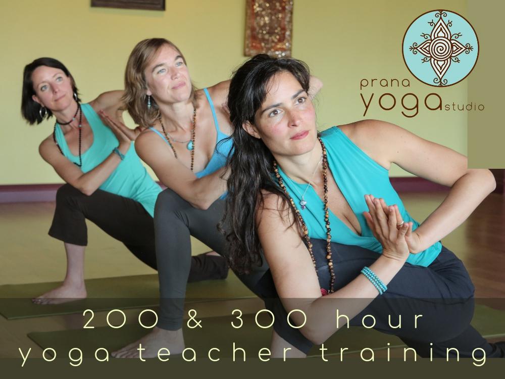 What is Prana Yoga? %%page% : What is Prana Yoga? YOGOM